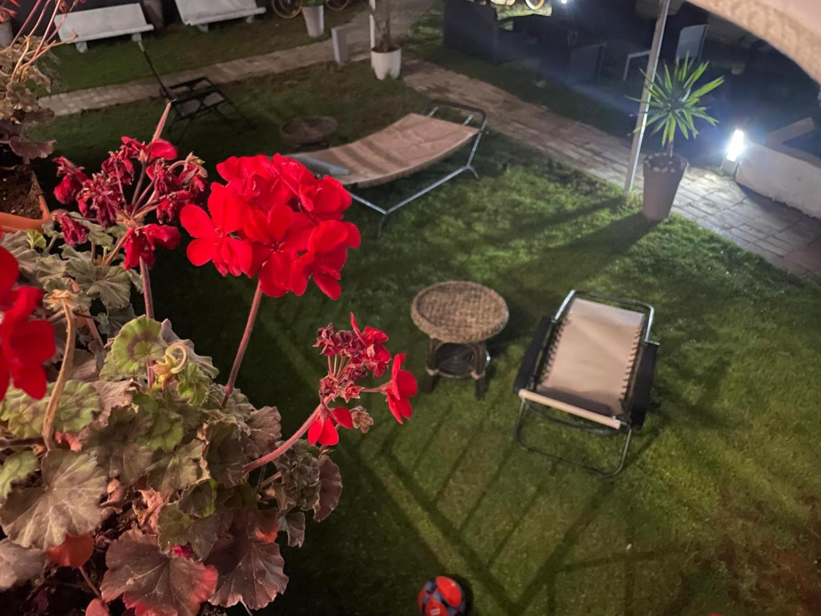 Solaris Paestum住宿加早餐旅馆 外观 照片